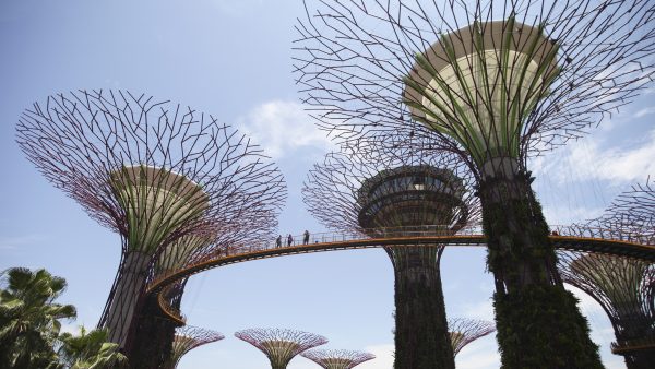 garden by the bay