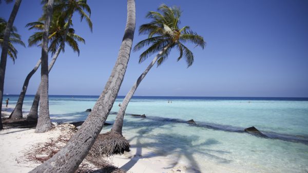 beach at maafushi