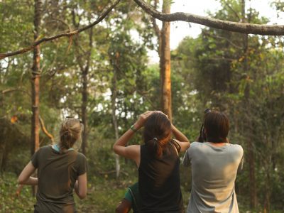 Kerala-birdsancturary-10