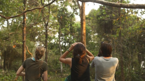 Kerala-birdsancturary-10