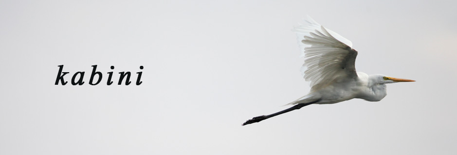 Le Livre de la Jungle à Kabini