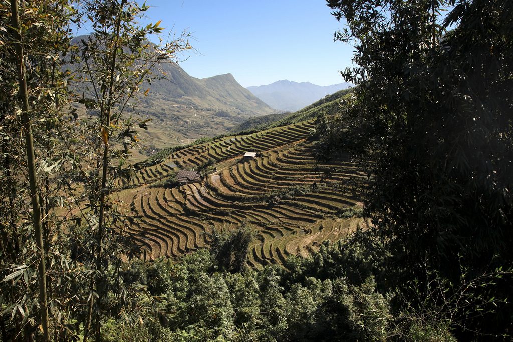 terrasses-riz-cascade