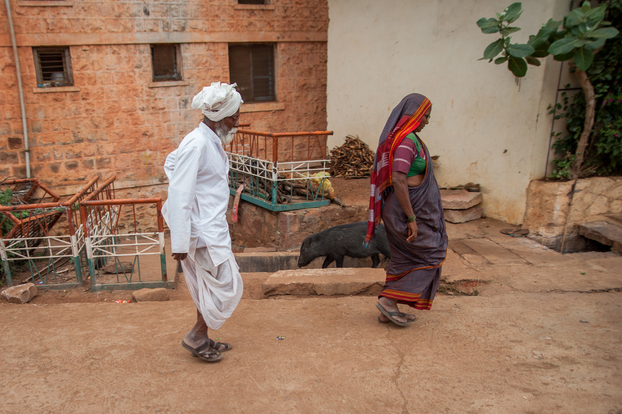 29720817493_d8c1a4192b_k